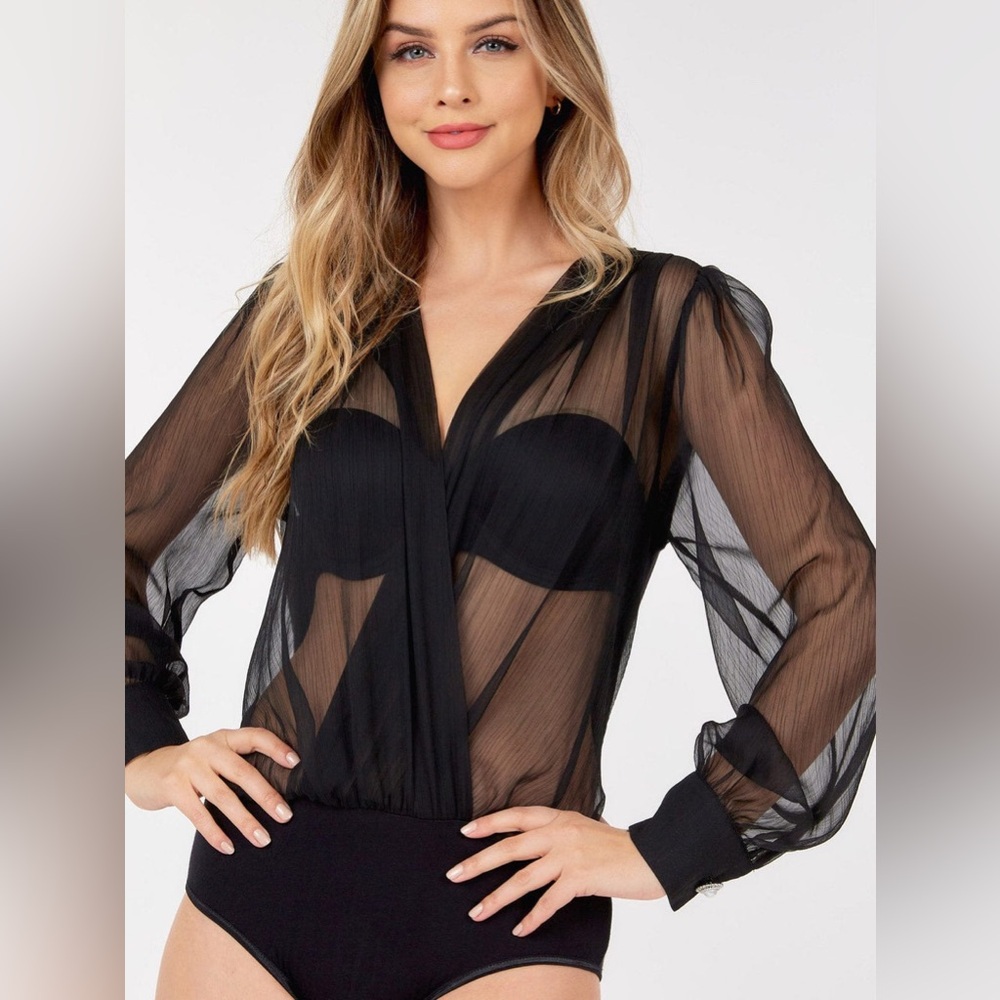 SHEER SEDUCTION SEXY SULTRY V-BODYSUIT COLLECTION
Sheer Black